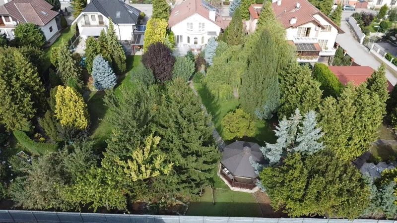 Family houses in Trenčianske Stankovce surrounded by dense greenery and colorful trees.