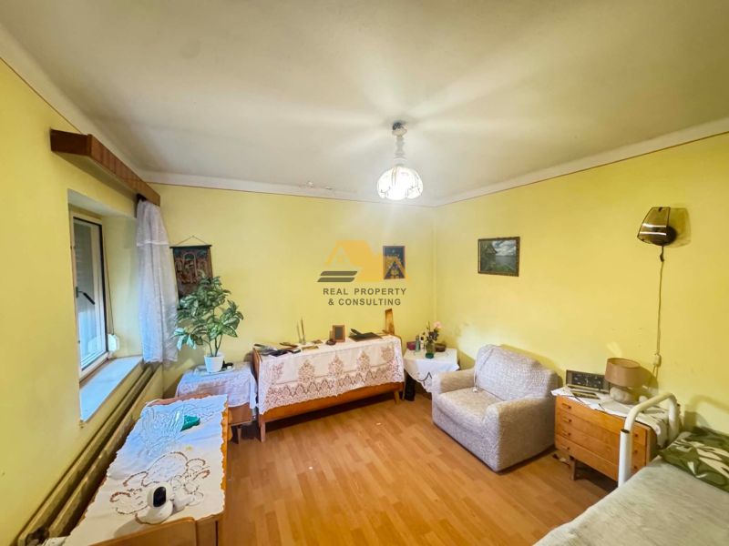 Interior of a family house with a wooden decor floor, furniture, and a houseplant.