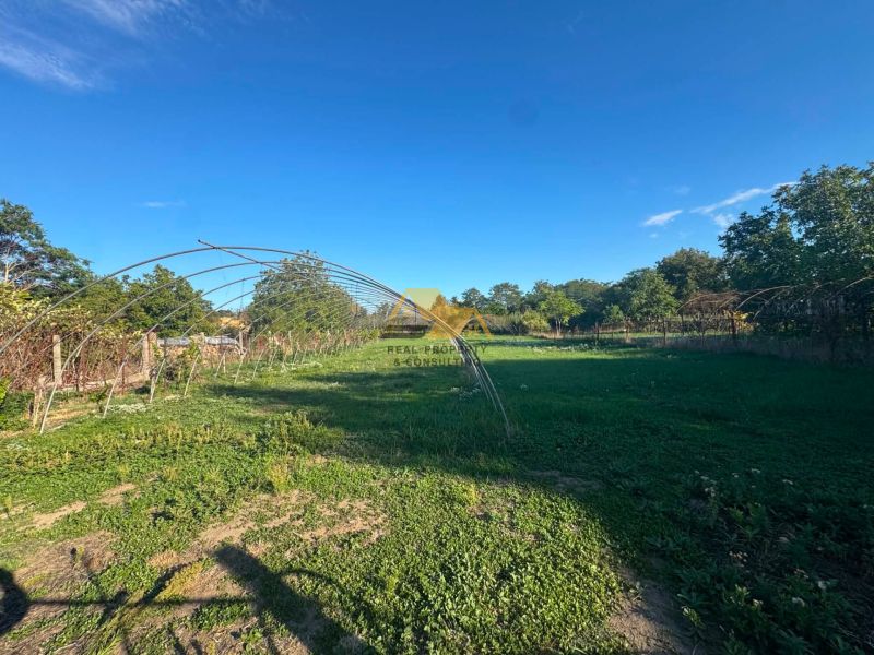 A garden at a family house with a metal structure in Dvory nad Žitavou on the street Dvory nad Žitavou.