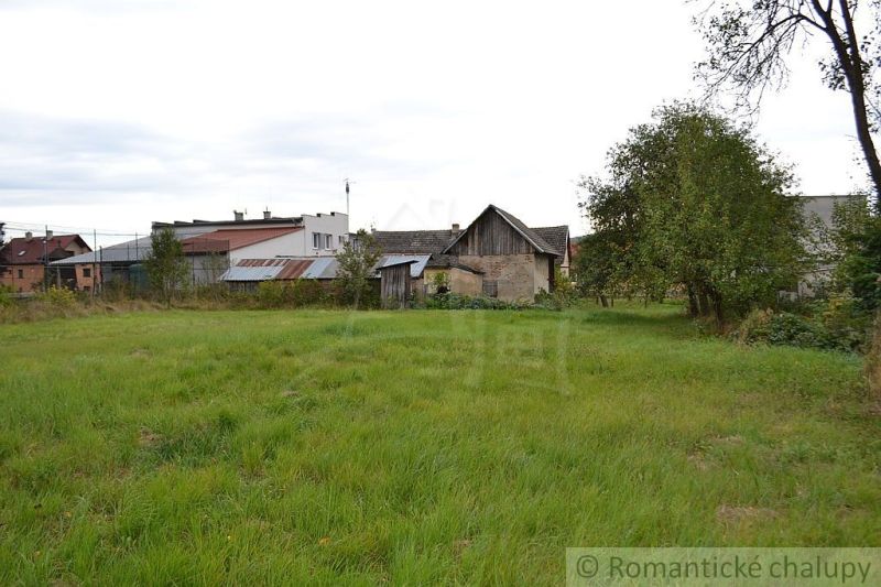 The back part of the family house in Nemcovce with a spacious grassy area and trees.