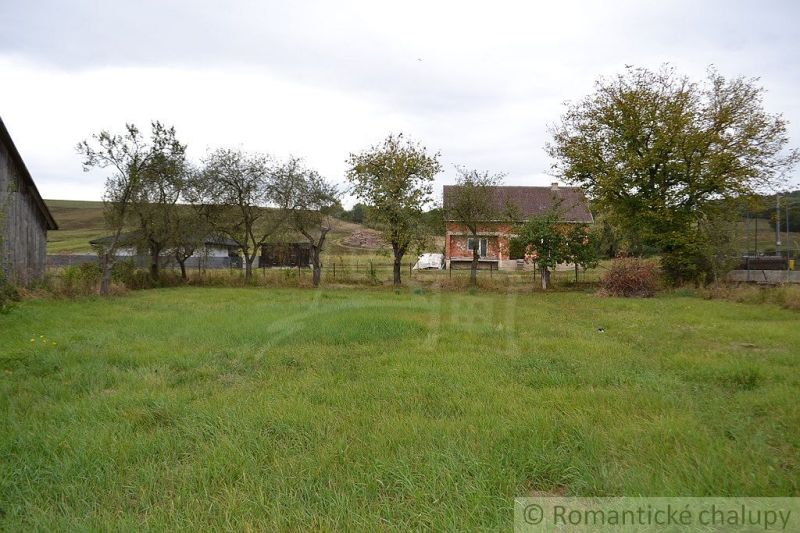 A family house in Nemcovce, with a grassy area and several trees in front of it.
