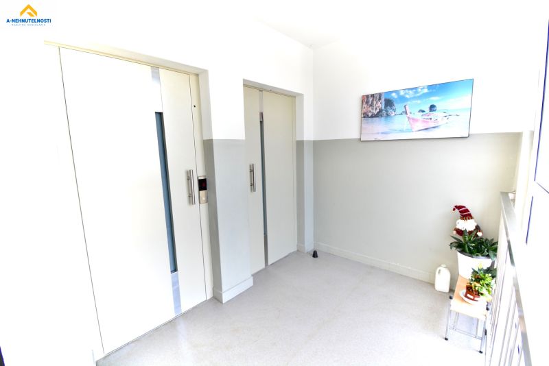 A hallway with a pair of elevators, decorations, and a painting in a 3-room apartment.