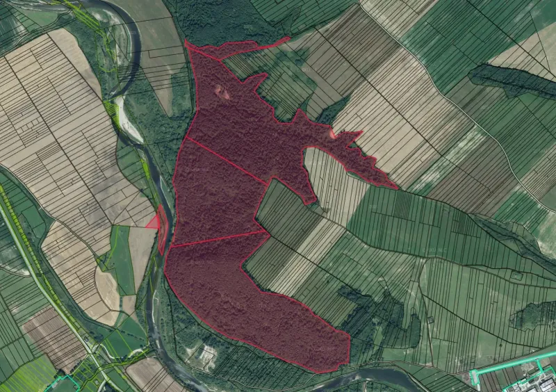 Aerial view of agricultural and forest lands around Plaveč with forest parcels.