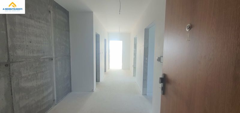 A hallway in a 3-room apartment with a raw concrete wall and open doors.