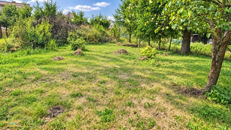Greenery and trees on a residential plot in Staškov under the blue sky.