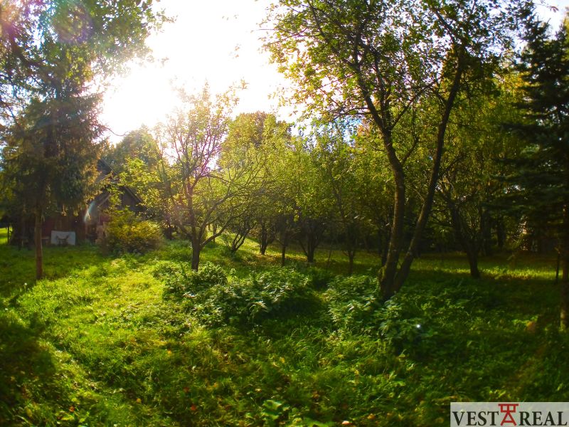 The garden of the family house in Buková full of trees and greenery.