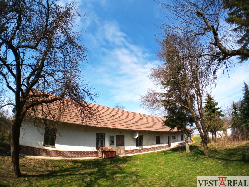 A family house in Buková, surrounded by trees, blue sky, white facade, tiled roof.