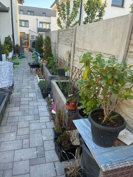 A narrow courtyard of a family house on Agátová in Kostolište with plants and a stone railing.