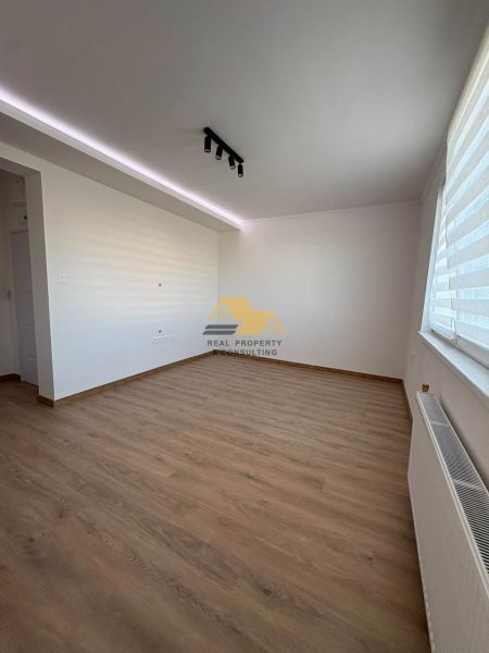 A room with ceiling lighting and a wooden decor floor in a 2-room apartment.