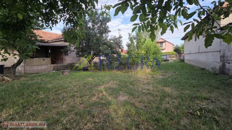 The garden of a family house in Taktaszada with a grassy area and trees.