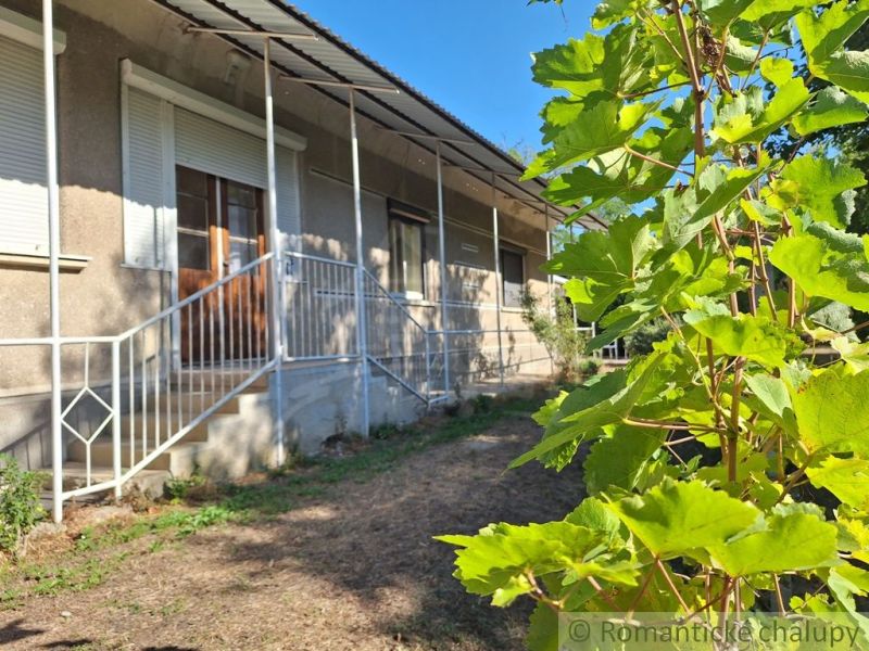 A family house in Moča surrounded by green vine leaves and a metal railing.