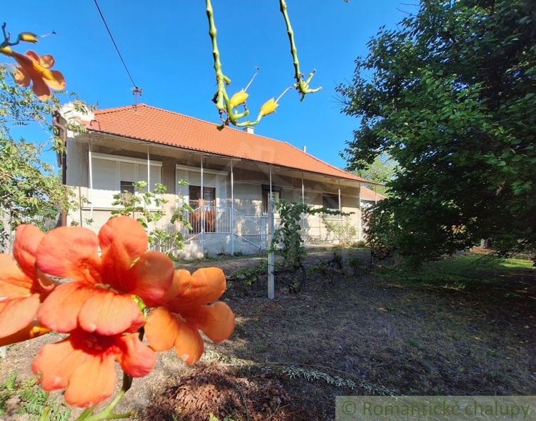 A family house in Moča with a garden and flowers in the foreground.
