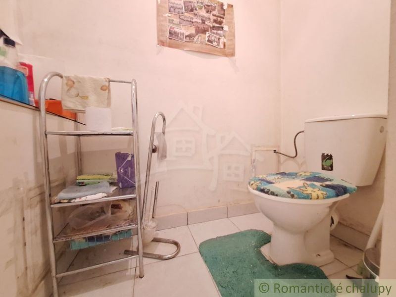 A family house bathroom with a toilet, decorative rug, and metal shelf.