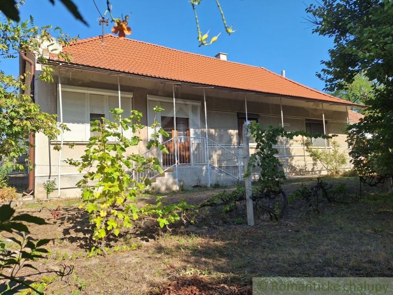 A family house in Moča with a red roof and a garden full of vines.