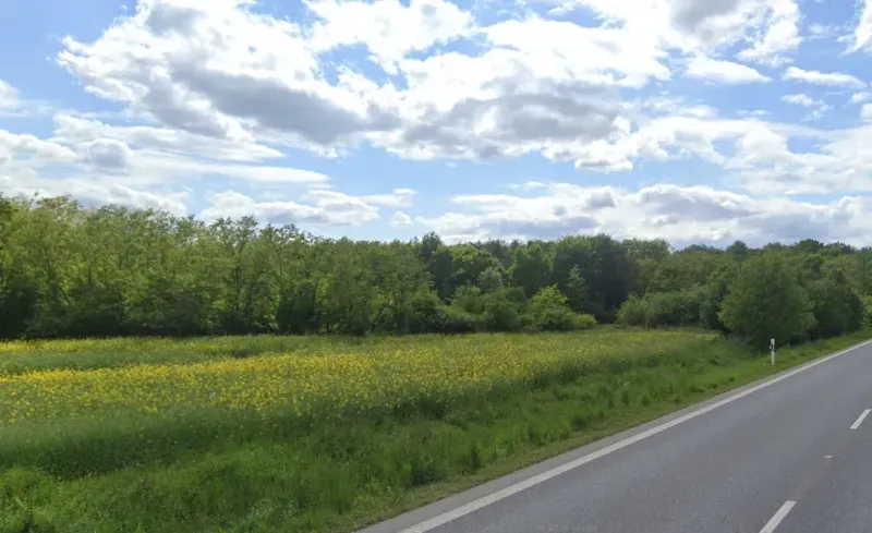 A path and a meadow near the forest on agricultural and forest lands in Nové Hony.