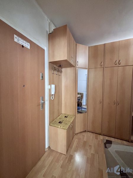 The entrance hall of a 2-room apartment with a wood-patterned floor and built-in wardrobes.