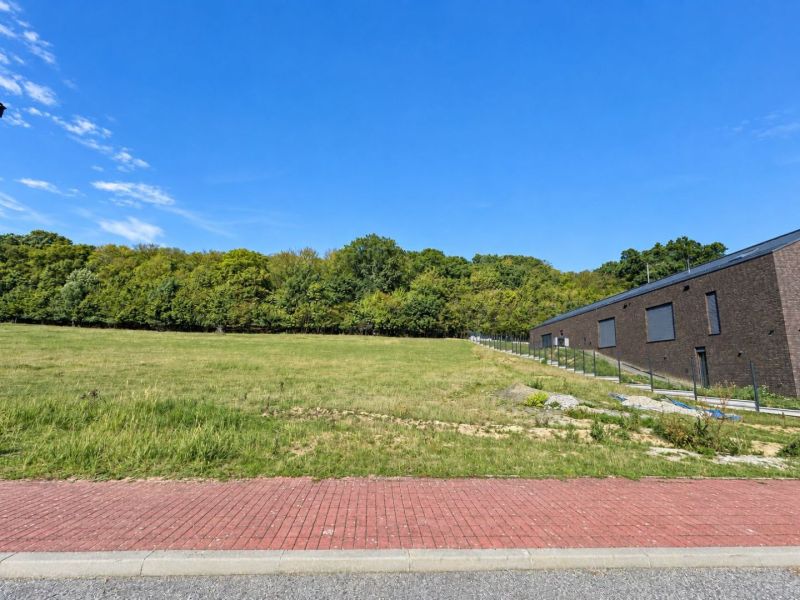 Development plots in Borinka with grassy area and a building next to the forest.