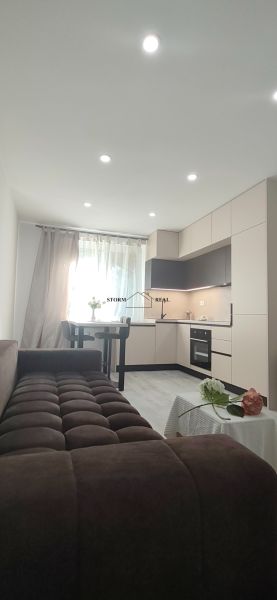 Living room in a 3-room apartment with a kitchen and a sofa, floor with wood decor.