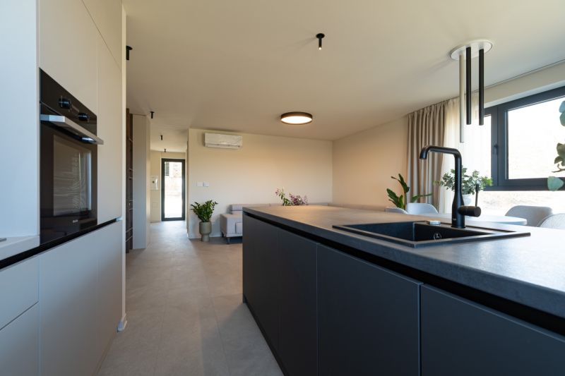A kitchen and living room in a 4-room apartment with plenty of natural light and plants.
