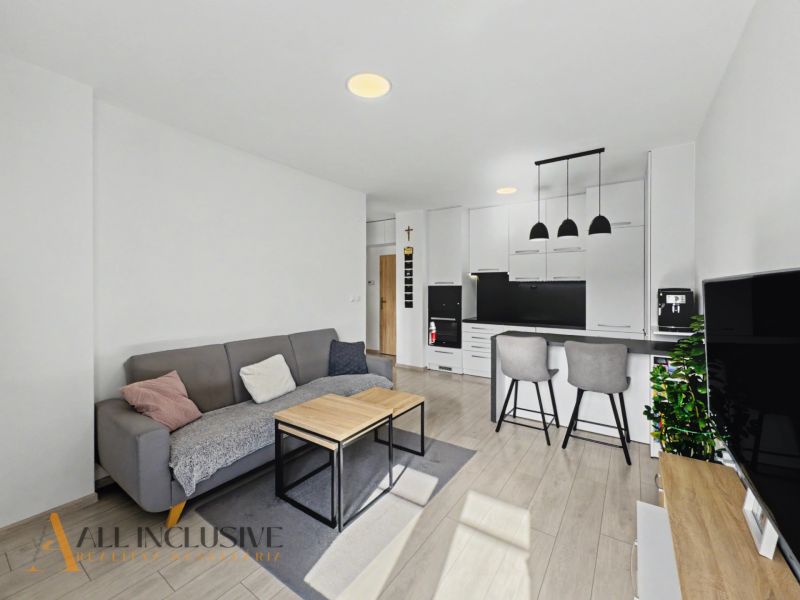 Living room with wood-patterned flooring and a kitchenette in a two-room apartment.