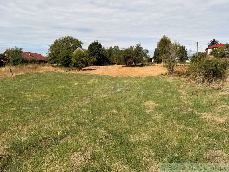 Plots - living in a village with a grassy area surrounded by trees and houses.