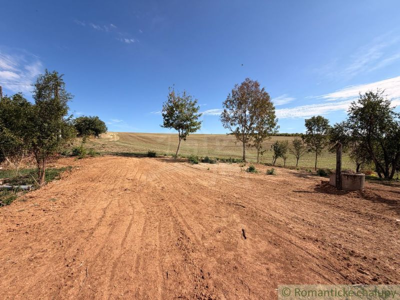 In the village, there is a plot of land - housing with trees and a blue sky.
