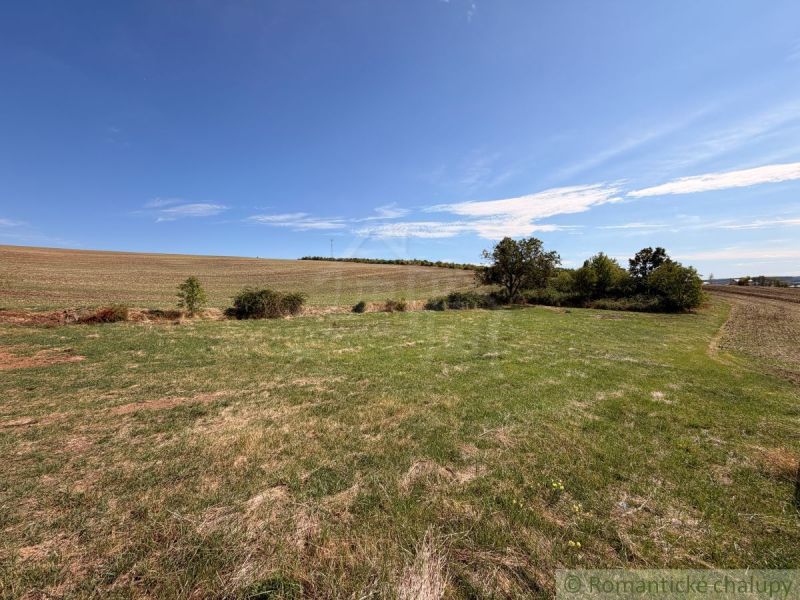 Plots - living in Dedinka, vast fields and greenery under the blue sky.