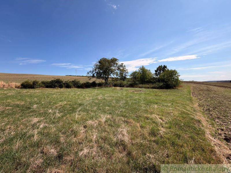 Green residential plot in Dedinka, with an open landscape view and trees.