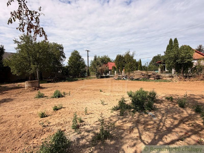 Land - living in Dedinka, with a spacious open area and trees in the background.