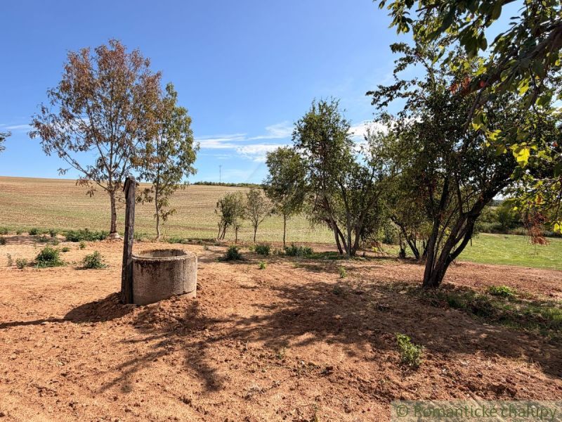Plots - living in a village surrounded by trees, visible well and fields in the background.