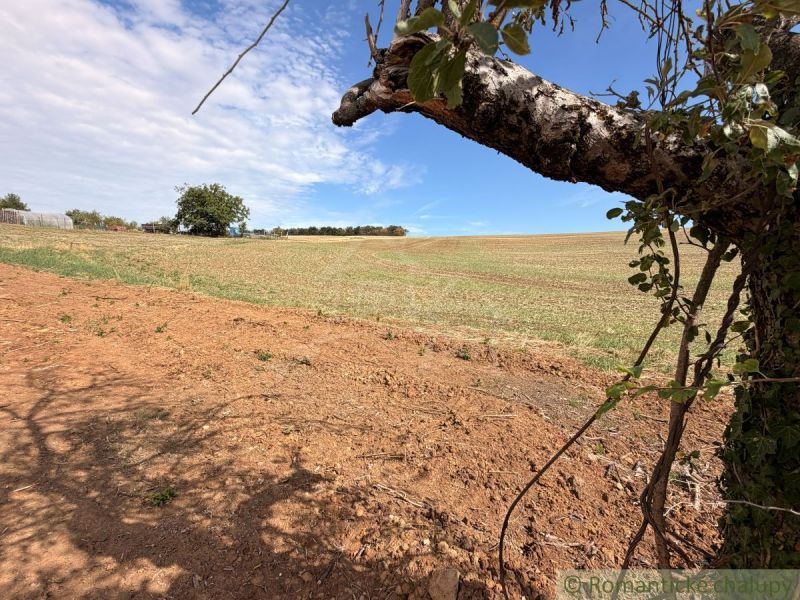 Plots - living in a small village with expansive fields, trees, and a blue sky.