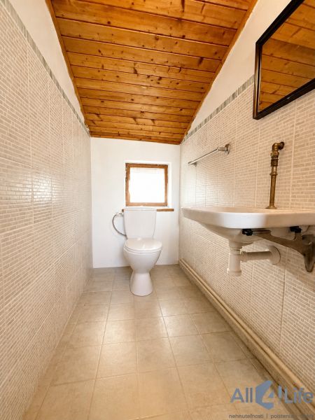 A bathroom in a cabin with a sloped wooden ceiling and light-paneled walls.