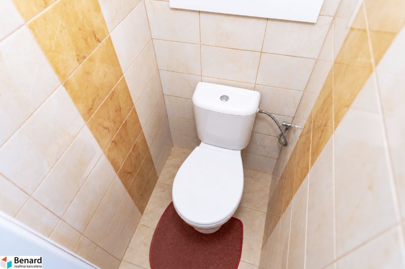 A toilet in a 2-room apartment with beige tiles and a red rug.