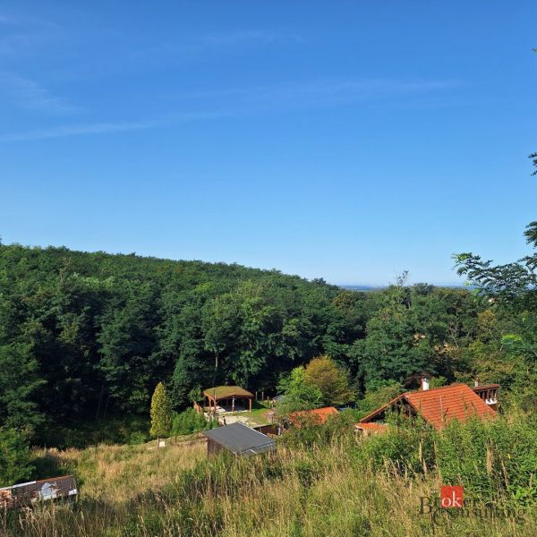 A grassy plot in Stupava surrounded by forests, designated for residential use.