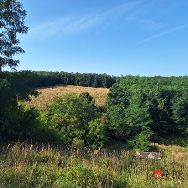 Beautiful view of nature and cottages in the Stupava area, suitable for residential plots.
