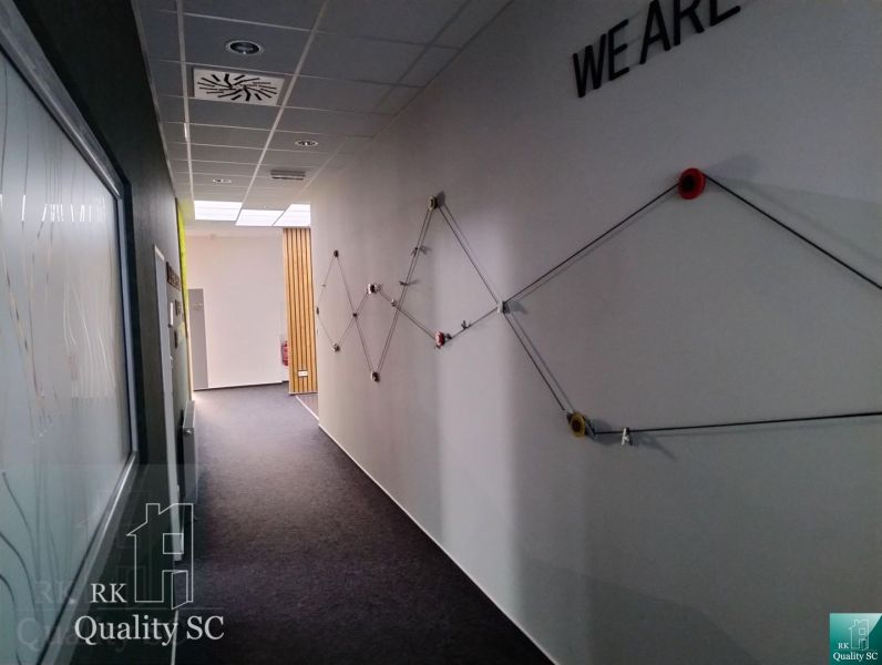 Offices with graphic design on the wall and a corridor with a carpeted surface.