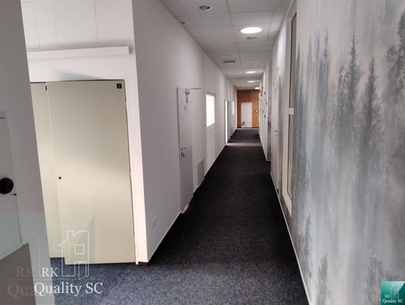 The hallway of the office with a dark carpet and a decorative wall.