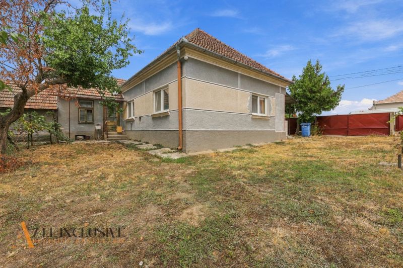A family house in Bátorove Kosihy with a garden and a tree on a dry lawn.