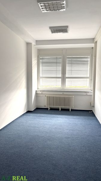 Offices with white walls and blue carpet, illuminated by natural light.