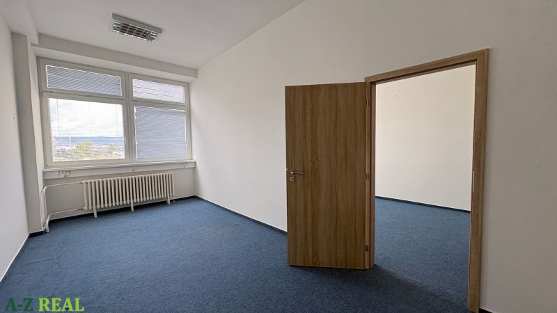 Empty offices with light and blue carpet.