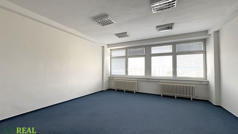 Offices with blue carpet, white walls, and large windows available for rent.