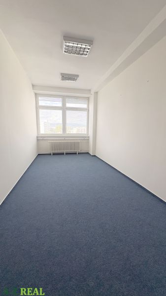 Empty office with blue carpet, large window, and white walls.