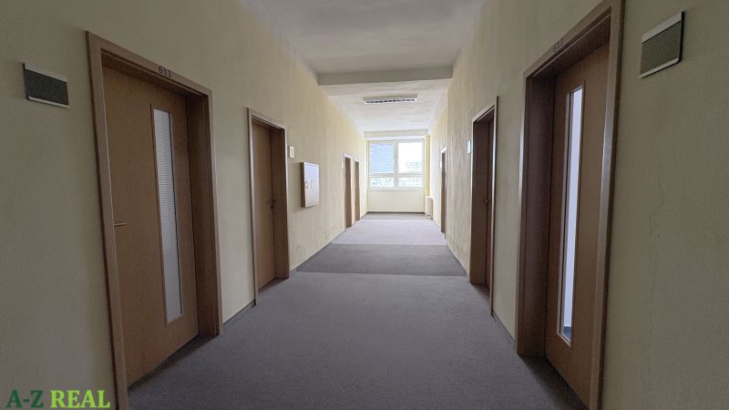 Hallway with brown doors in offices on Drieňová Street, Bratislava - Ružinov.