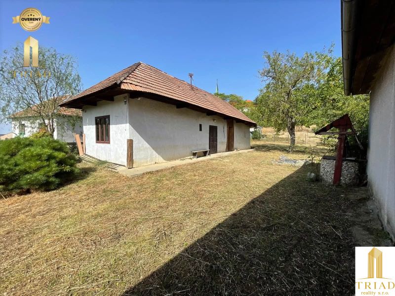 A cottage in the village of Čaka with a traditional roof, a yard, and a tree in the garden.