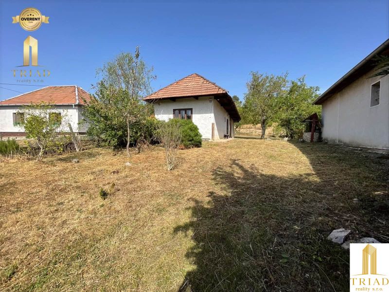 A cottage in Čaka with a garden, surrounded by trees, clear sky.