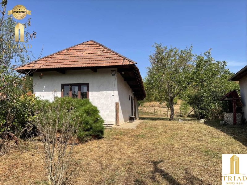 A cottage in Čaka with a garden, trees, shrubs, and a white facade, under a blue sky.