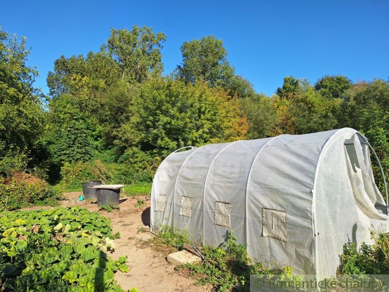 Gardens in Bruty with a greenhouse surrounded by vegetable plants and trees.