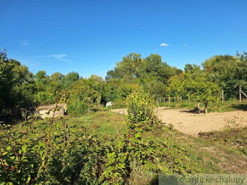 The gardens in Bruty boast lush greenery and a blue sky.