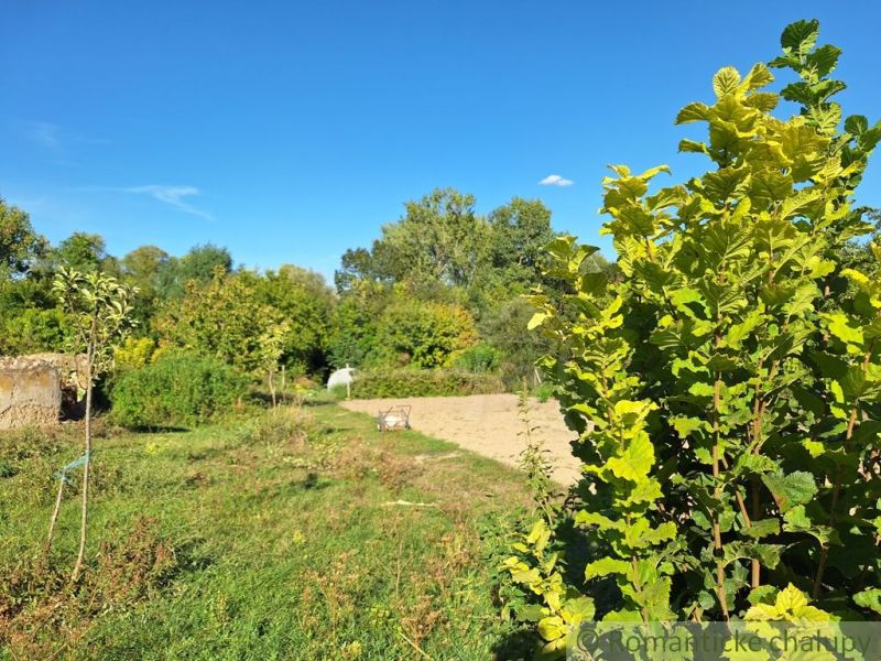Gardens in Bruty with greenery and a clear blue sky.