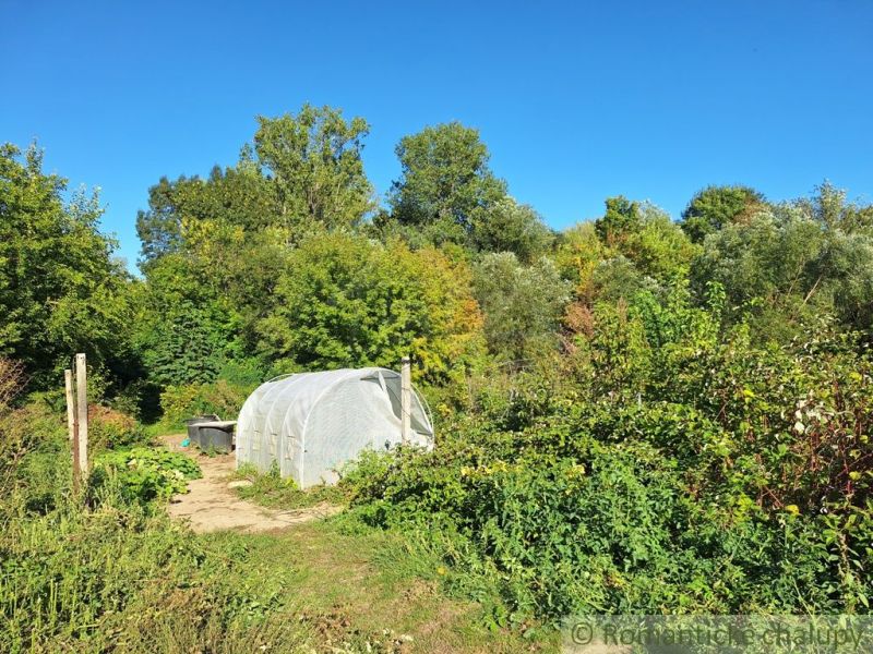 Gardens in Bruty with a greenhouse surrounded by dense greenery and a clear sky.